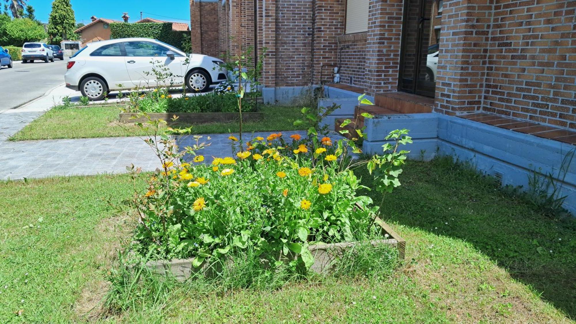 Casa Grande Con Jardin Villa Santa Cruz De Bezana Exteriör bild